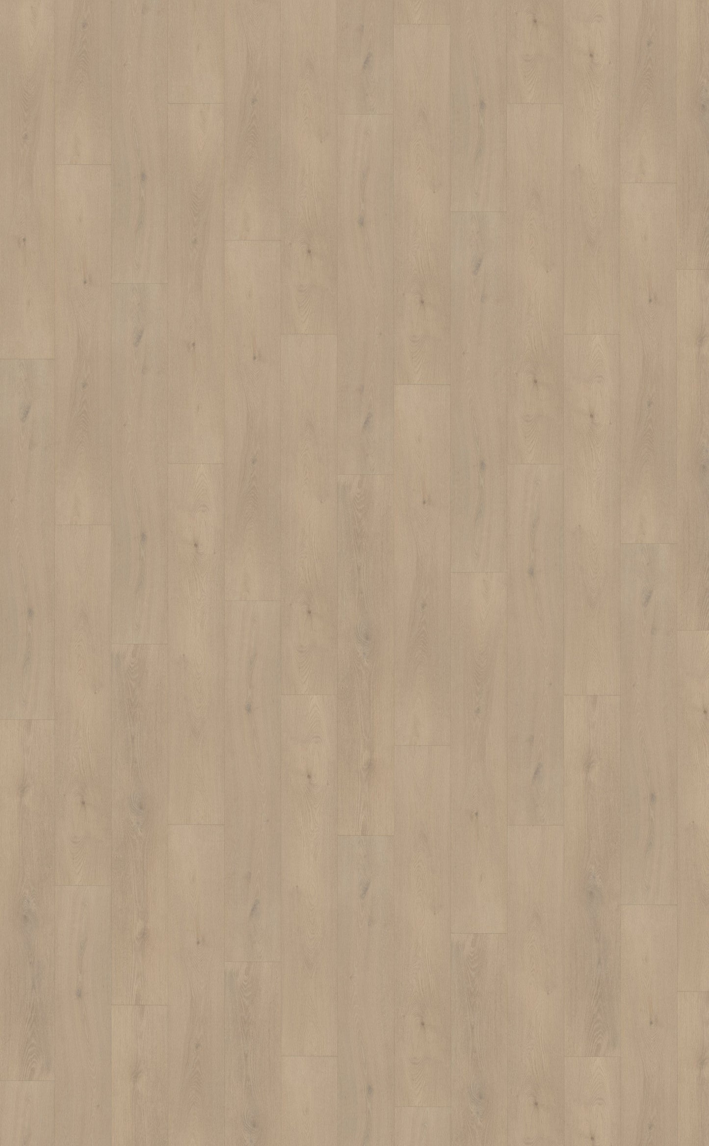 Belakos Palazzo 740 | Dryback Lijm PVC