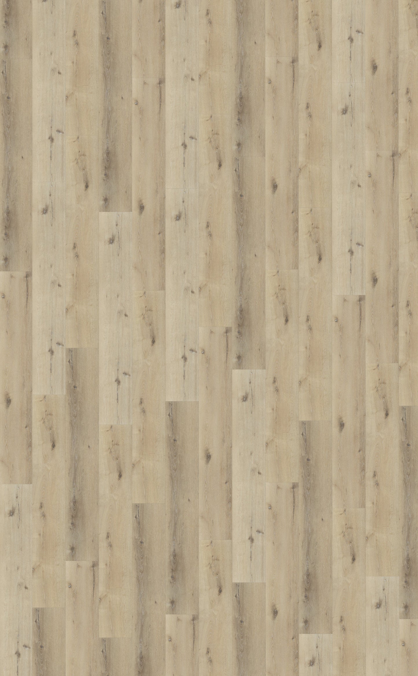 Belakos Palazzo 150 | Dryback Lijm PVC