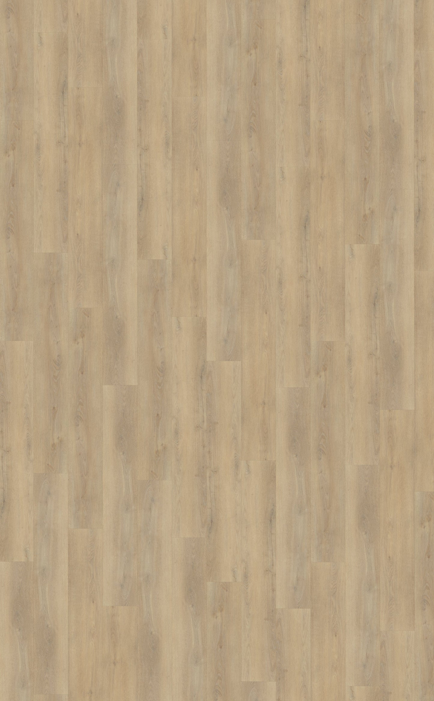 Belakos Palazzo 720 | Dryback Lijm PVC