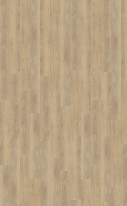 Belakos Palazzo 720 | Dryback Lijm PVC