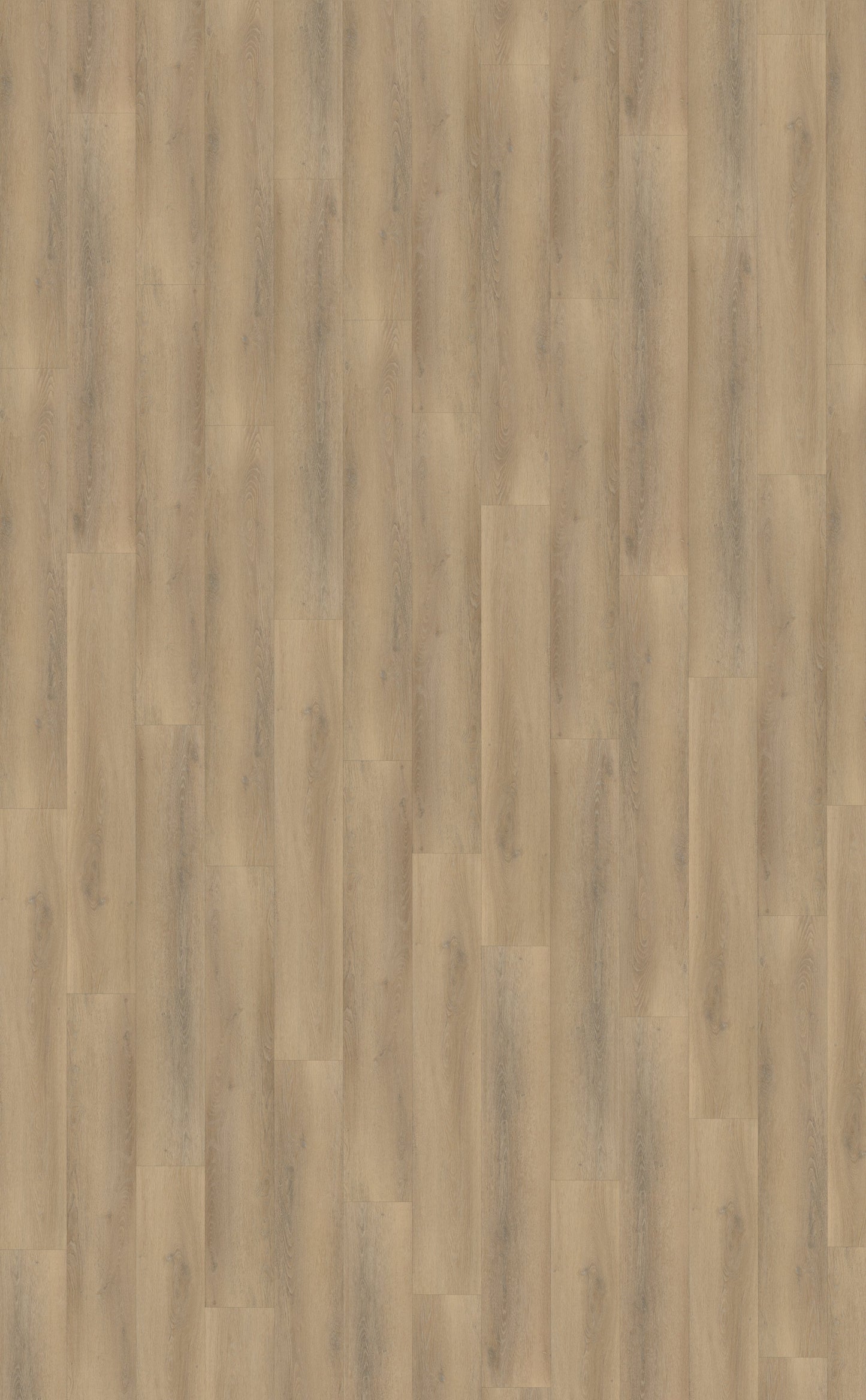 Belakos Palazzo 760 | Dryback Lijm PVC